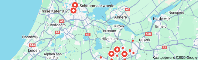 professionele schoonmakers
