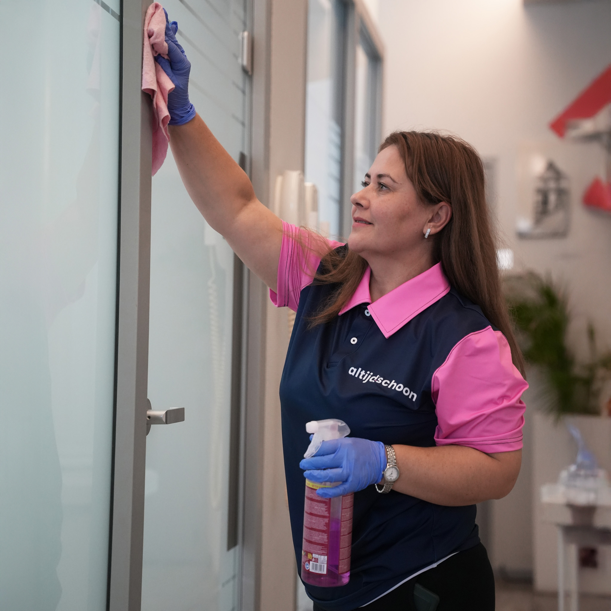 professionele schoonmaakdiensten