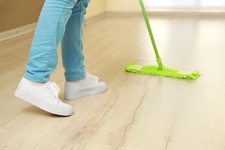 eenmalige schoonmaak particulier