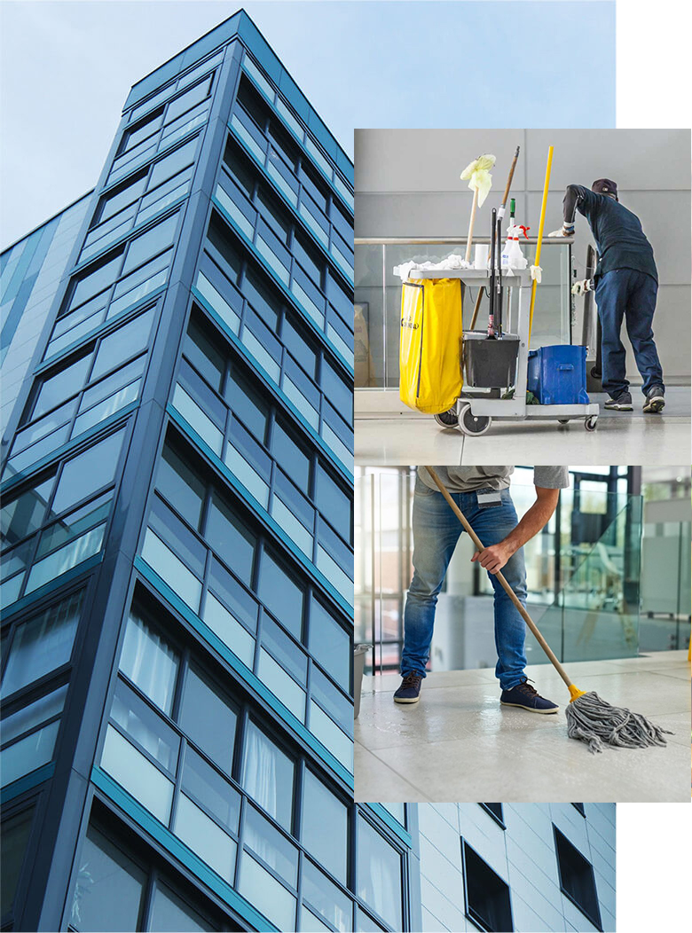 professionele schoonmaak huis